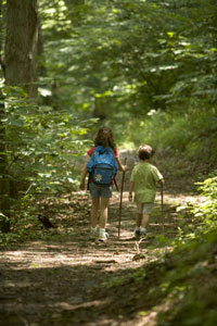 children hiking