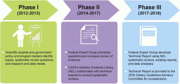 Figure. Timeline of activities for the Dietary Guidance Development Project for Infants and Toddlers from Birth to 24 Months of Age and Women Who Are Pregnant.