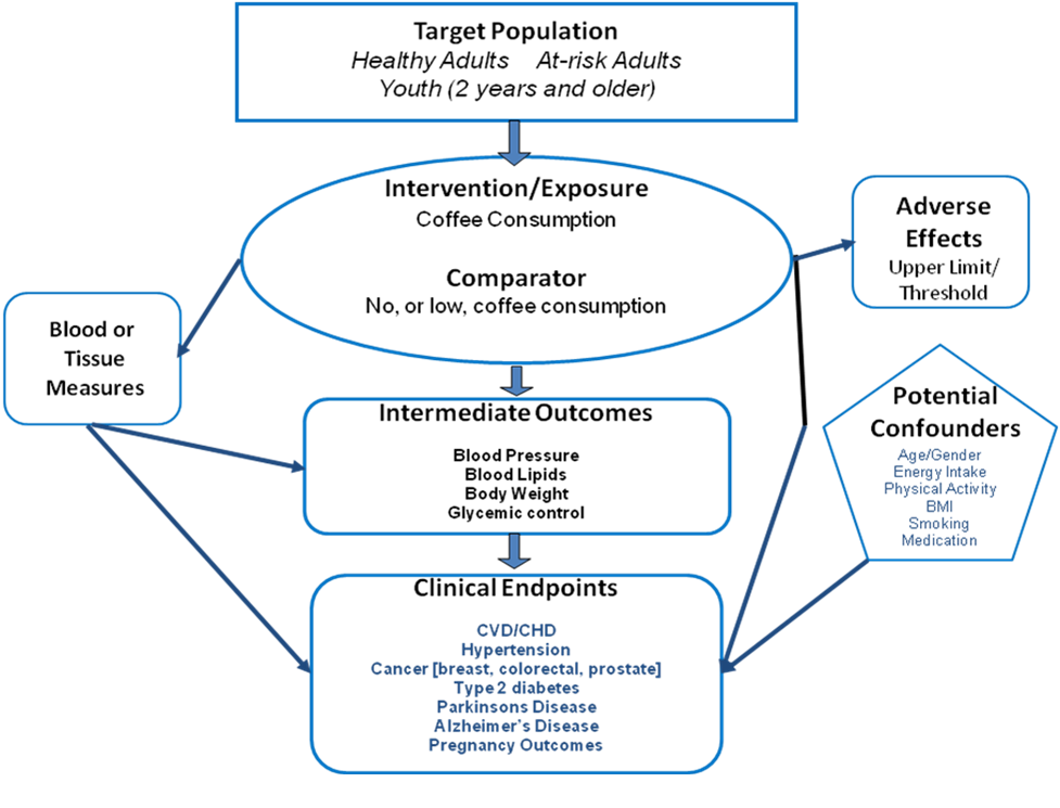 Framework showing relationships between the population, intervention or exposure, intermediate outcomes, and endpoint clinical outcomes for usual caffeine consumption and health.