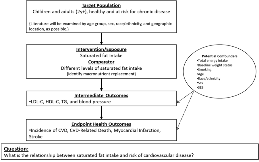 Framework showing relationships between the population, intervention or exposure, intermediate outcomes, and endpoint clinical outcomes for saturated fat and risk of CVD.