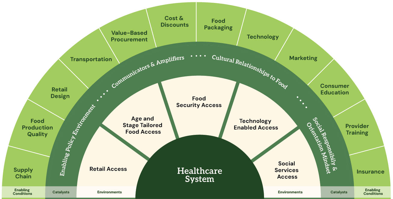 Half-circle infographic showing factors influencing health care system like Food Security Access and Technology.