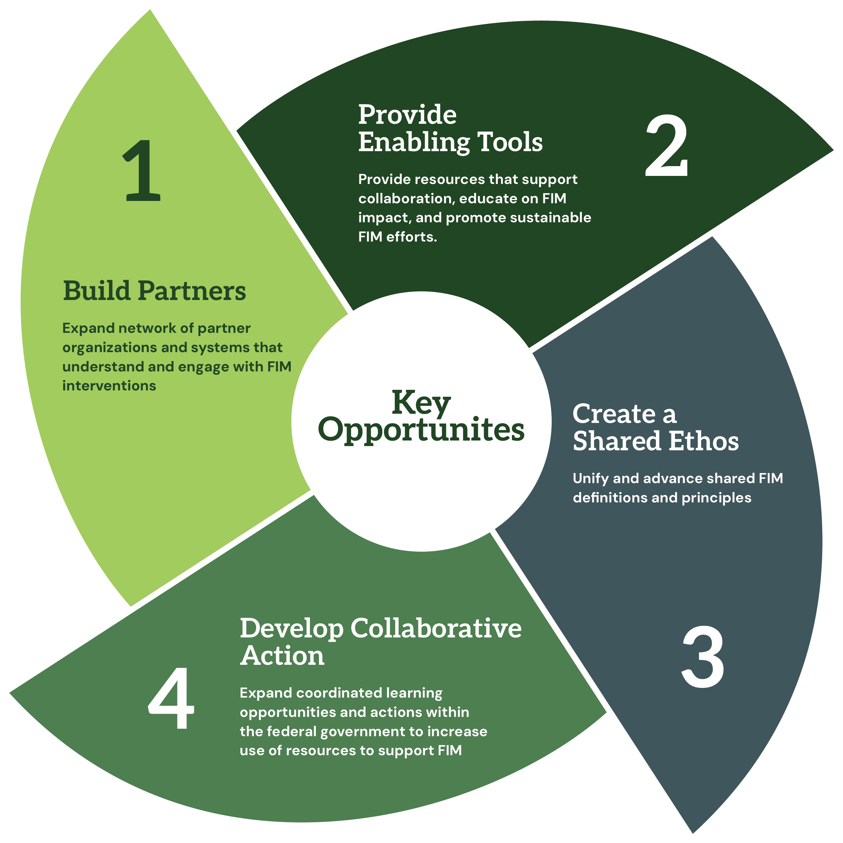 Pinwheel graphic depicting 4 key opportunities identified by the Federal Collaborative to advance Food is Medicine: build partners, provide enabling tools, create a shared ethos, and develop collaborative action.