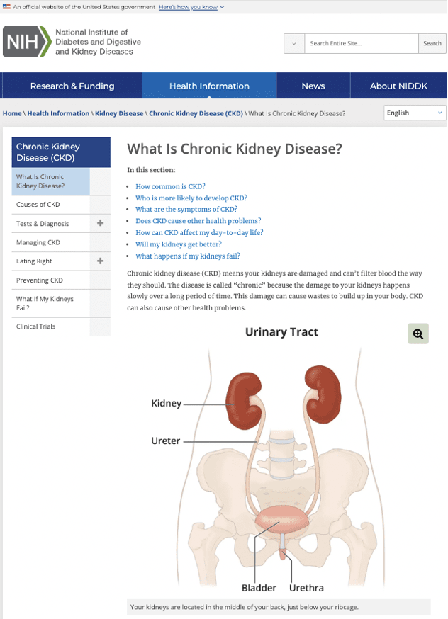 Screenshot of the NIDDK page on chronic kidney disease.