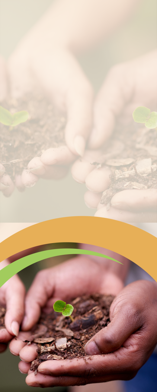 A designed hero image featuring two hands cupping a handful of soil with a green sprout at the center.