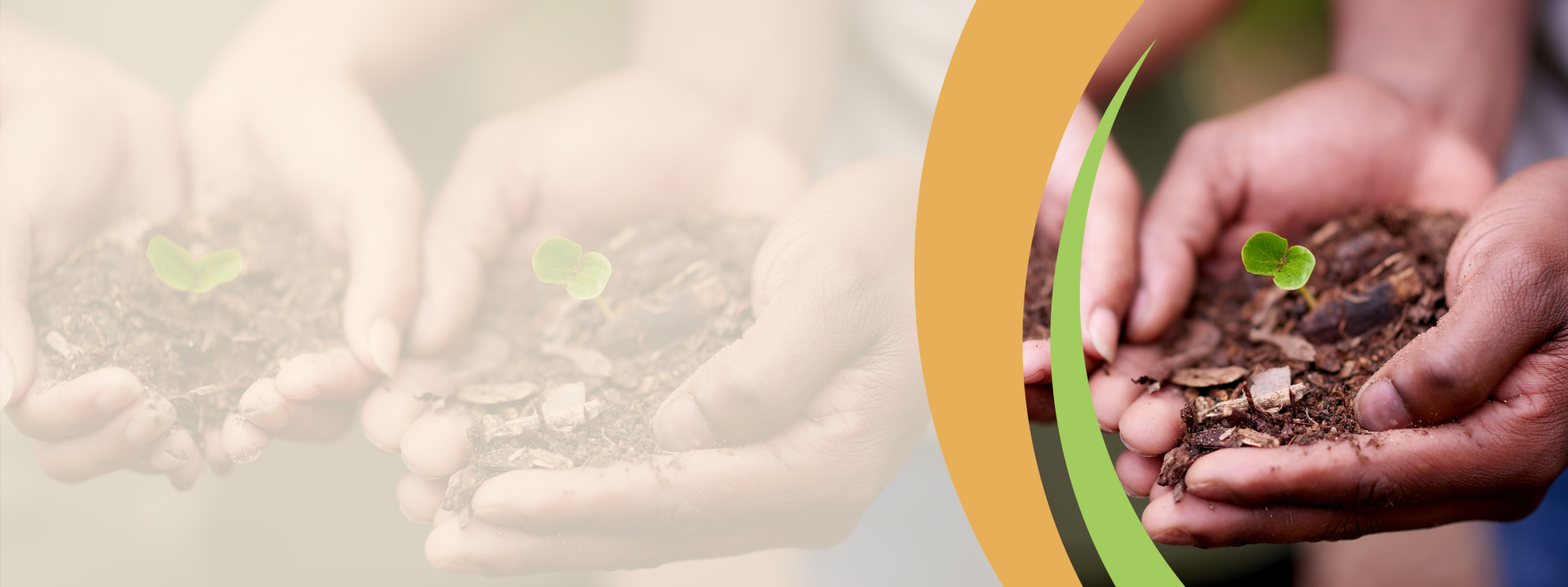 A designed hero image featuring two hands cupping a handful of soil with a green sprout at the center.