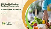Analytic Framework: Domains and Indicators thumbnail